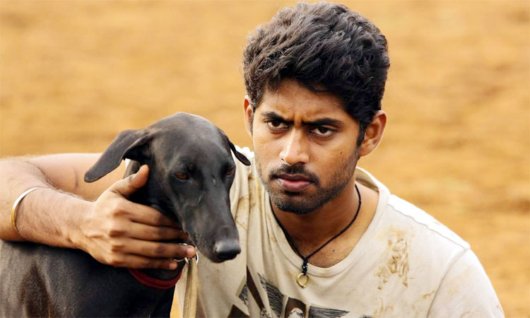 'Karuppi' dog dies after being hit by a vehicle: Actor Kathir condoles