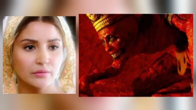 Phillauri and Tumbbad movies to watch for this new yaer's eve [Source :Social Media]