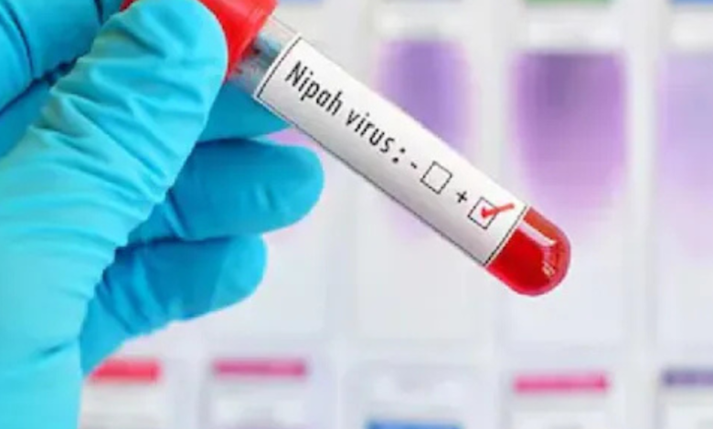 Nipah Virus is a zoonotic virus carried by fruit bats and transmitted through contaminated food or close human contact.