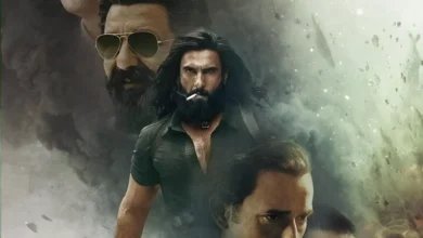 Chetak Screen Awards nominations: Dhurandhar leads race