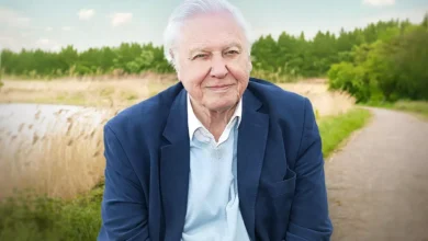 Sony BBC Earth to air special on David Attenborough's 'Life on Earth' to mark his 100th birthday