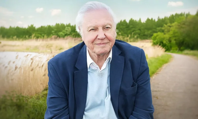 Sony BBC Earth to air special on David Attenborough's 'Life on Earth' to mark his 100th birthday