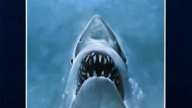 Steven Spielberg's 1975 blockbuster 'Jaws' returning to big screen in India