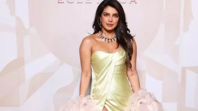 Priyanka Chopra Jonas to work in a Hollywood film with Angelina Jolie