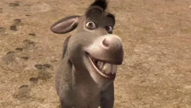 ‘Shrek’ spinoff ‘Donkey’ officially announced